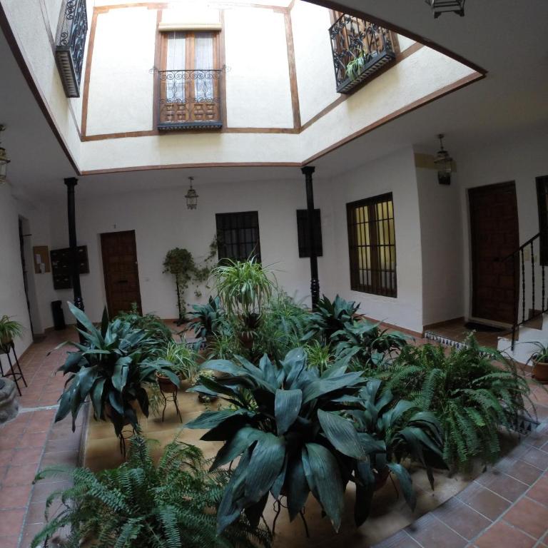 Apartamento Toledo San Justo - Apartamento de 1 dormitorio - 33