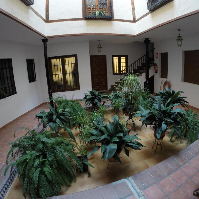 Apartamento Toledo San Justo - Apartamento de 1 dormitorio - 32