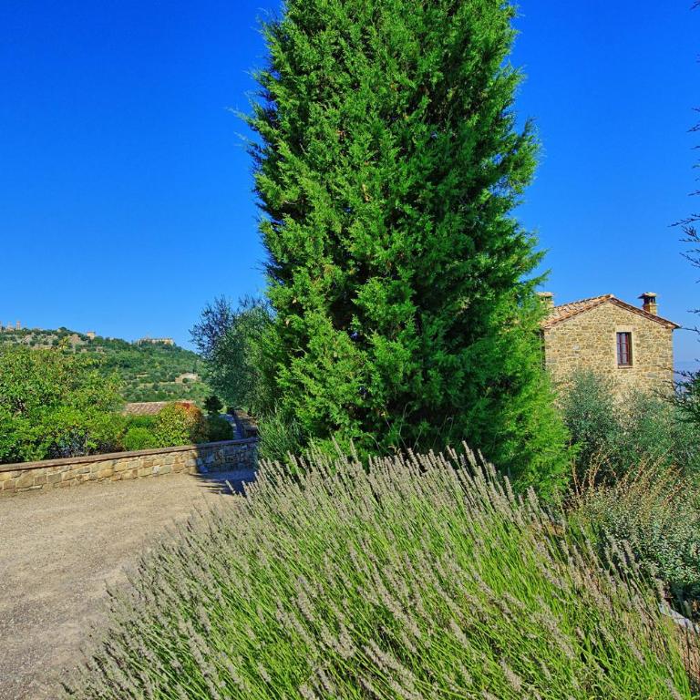 Tenuta Canina - Casa con 3 Camere da Letto - 10