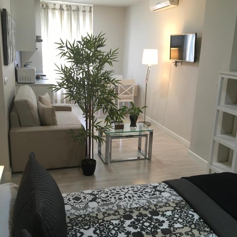 Apartamentos Centro Recogidas, Granada - Loft - 3