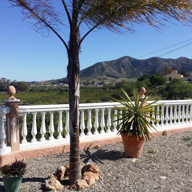 Hacienda Doña Lola - Casa - 8
