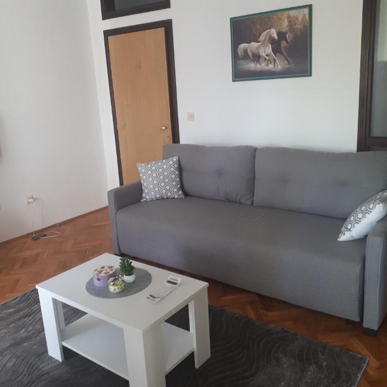 Apartment Tijana - Apartman sa 1 Spavaćom Sobom - 16