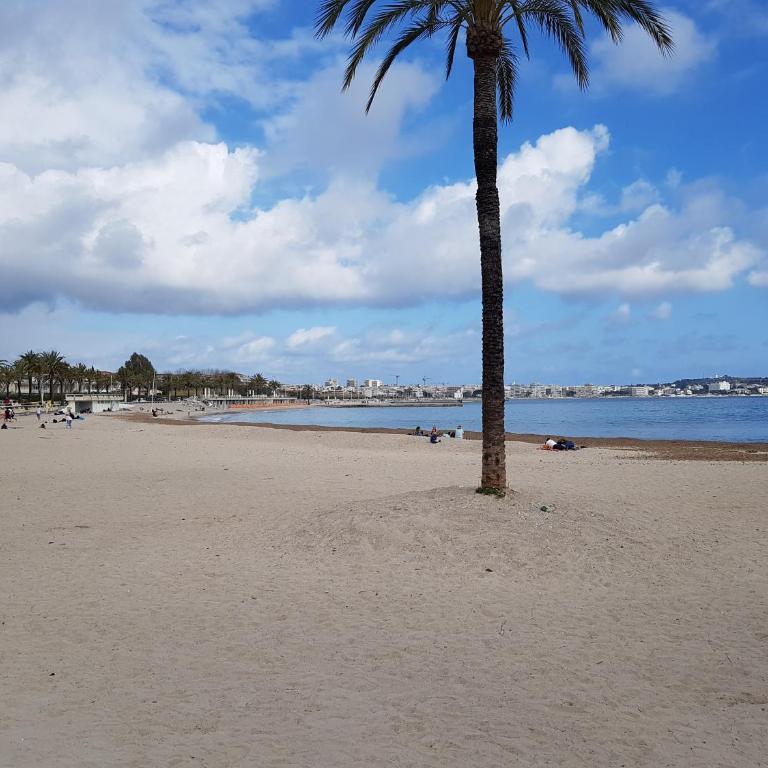 T2 coquet proche plages, port et centre ville - One-Bedroom Apartment - 15