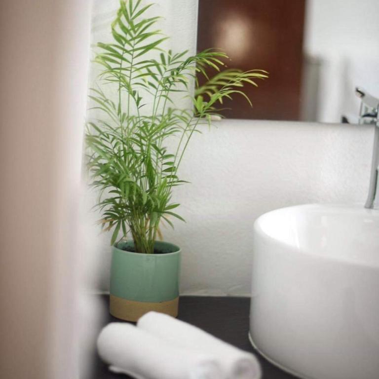 Aqua Guesthouse - One-Bedroom Apartment - 11