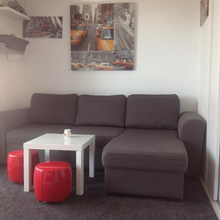 Résidence CAP HORN ,13 ter Avenue des Élysées - One-Bedroom Apartment - 6