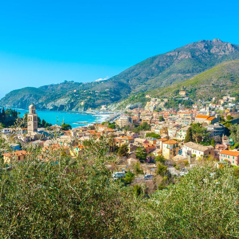 Olivi del Mesco - Casa Vacanze - 33