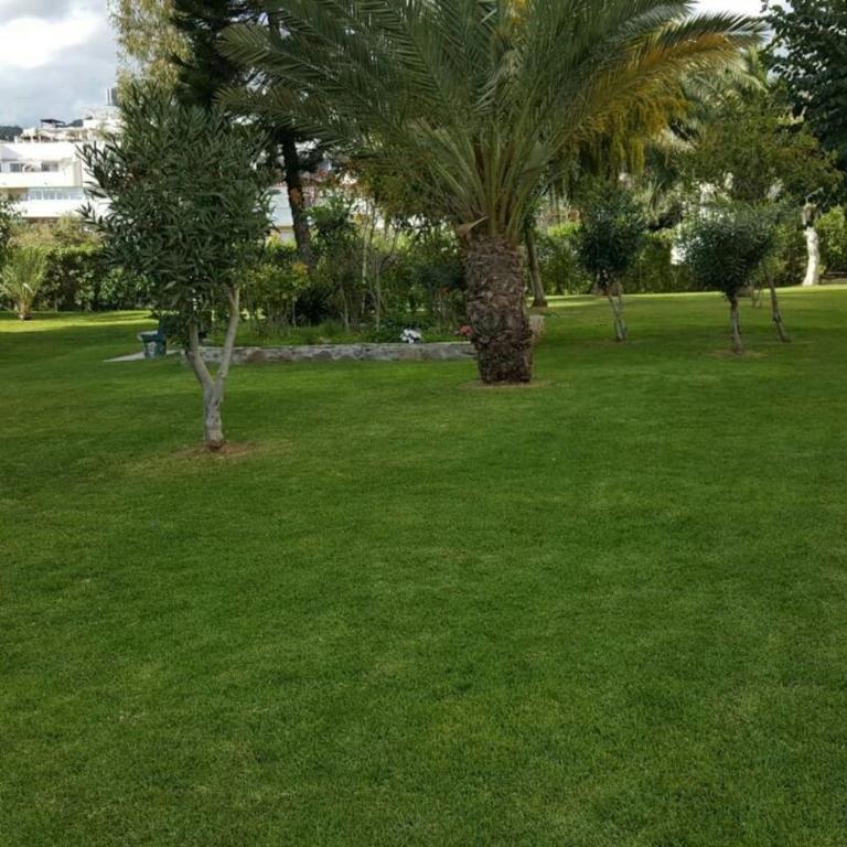 STUDY NEAR MALAGA AND THE BEACH - Apartamento de 1 dormitorio - 8