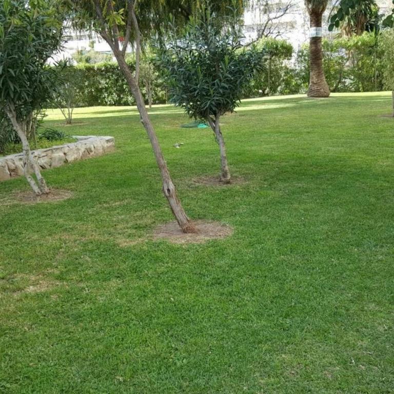 STUDY NEAR MALAGA AND THE BEACH - Apartamento de 1 dormitorio - 9