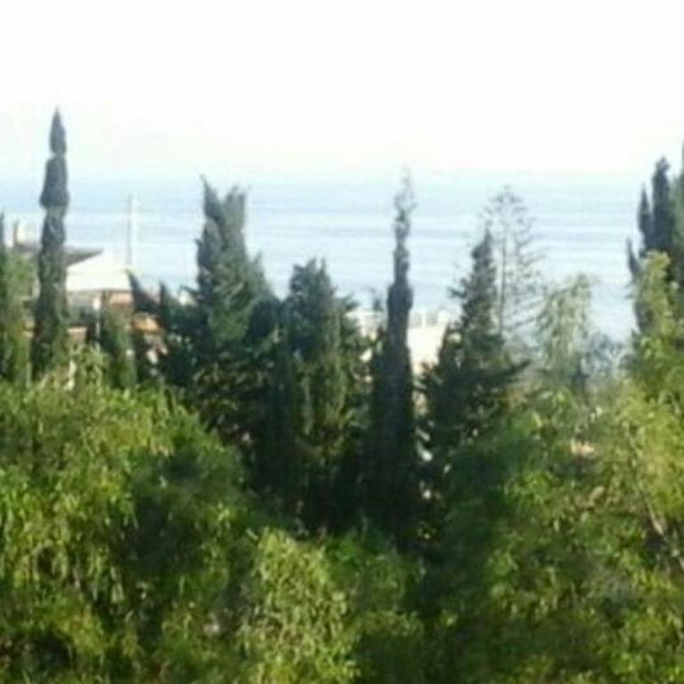 STUDY NEAR MALAGA AND THE BEACH - Apartamento de 1 dormitorio - 7