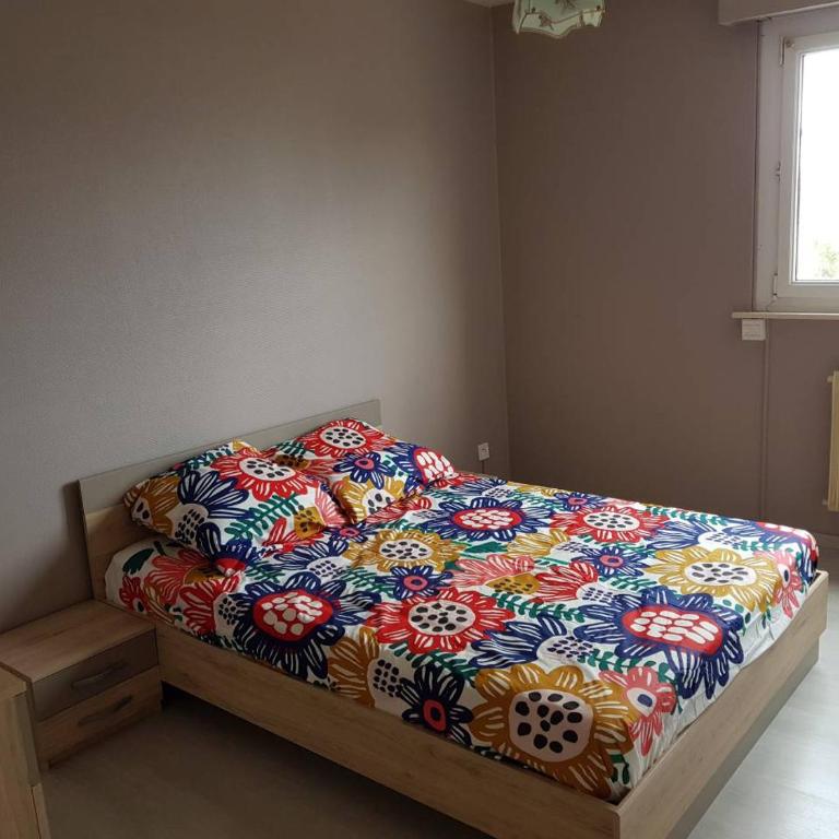 Le Bellevue - Appartement 1 Chambre - 14