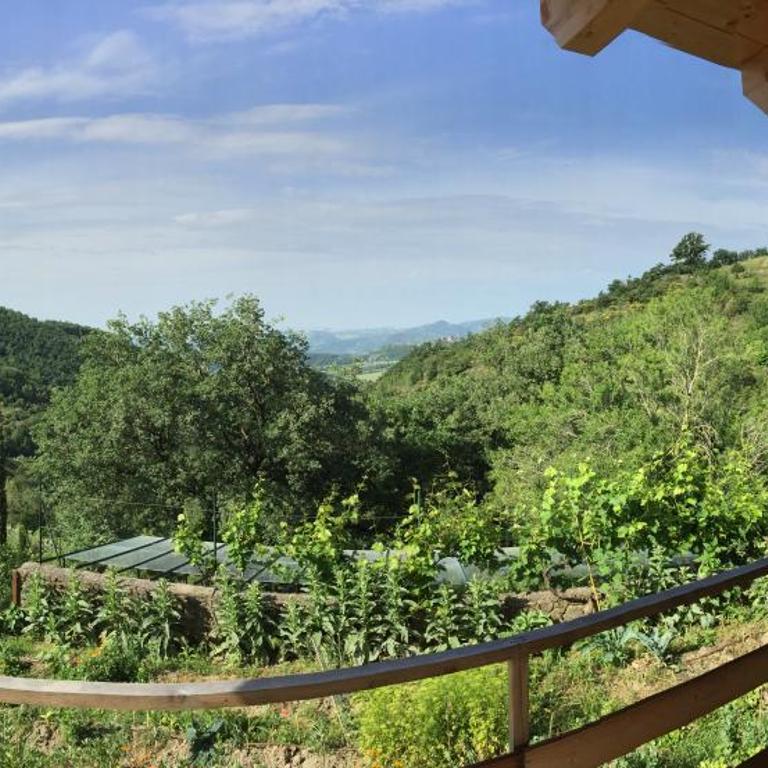 Fattoria Didattica Gli Allori - Camera Quadrupla - 4