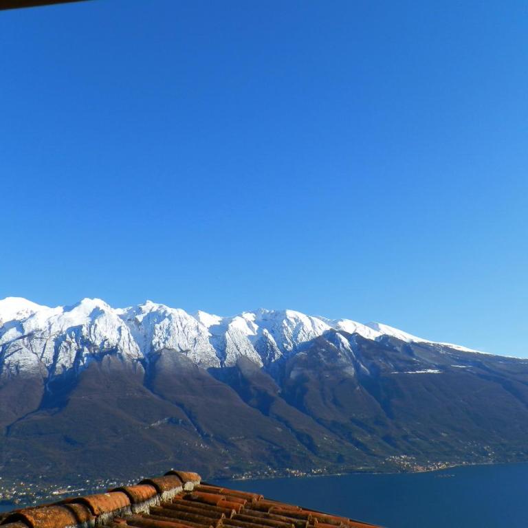 Ulivi sul Garda Garden by Gardadomusmea - Appartamento con Vista Lago - 25