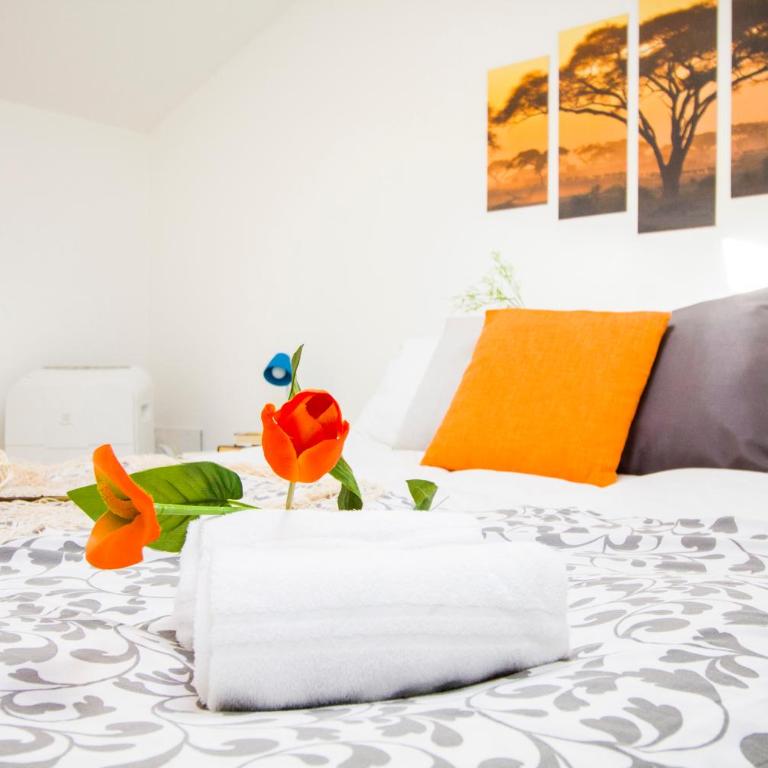 InnPisaRentals2 - Airstation Central Flat - Casa con 1 Camera da Letto - 14