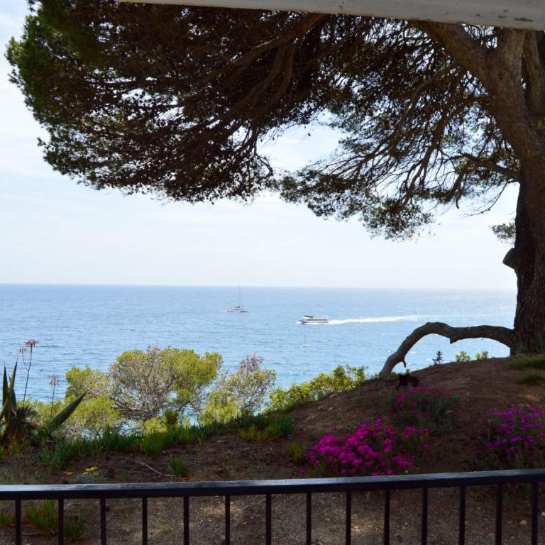 APPARTEMENTS SOL y MAR - Cala Llevado 2 - Estudio con terraza - 9