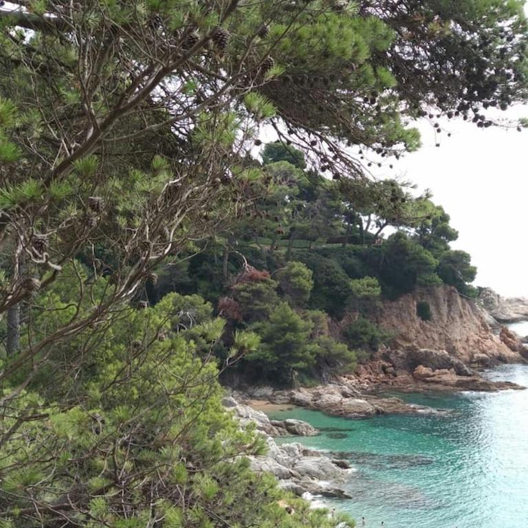 Chalana II, Cala Salions, Tossa de Mar - Apartamento con vistas al mar - 81