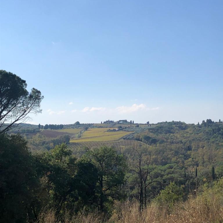 "Alle Montanine" Sughera - Casa Vacanze - 9