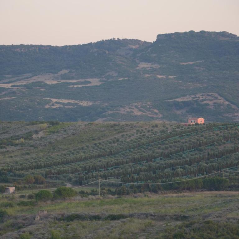 Villetta Olivia Casa in collina vista mare - Casa con 2 Camere da Letto - 48