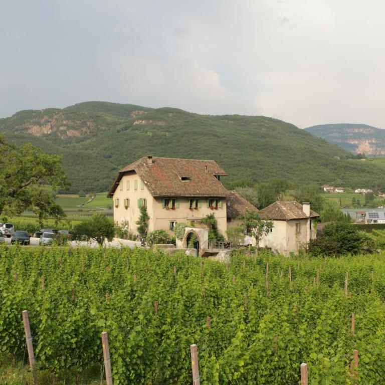 Weinbergsuite Panholzer - Suite - 5
