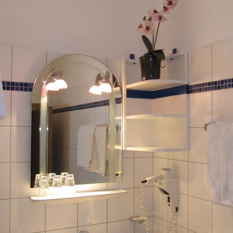 Goldener Ochs - Economy Doppelzimmer - 6