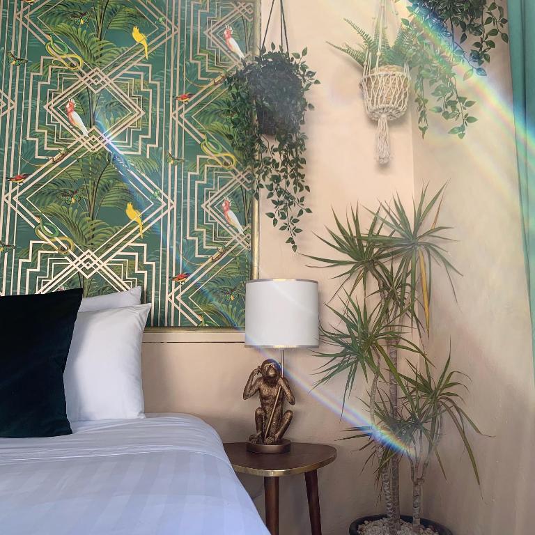 Jardines De La Reina Boutique Bed & Breakfast - Estudio (2 adultos) - 5