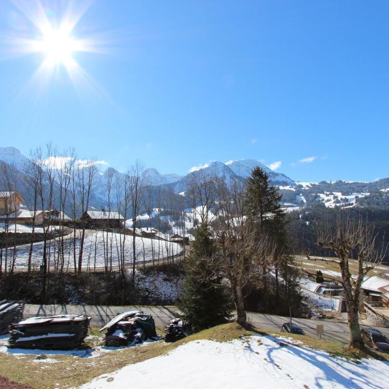 Les Erables - Apartment - 17