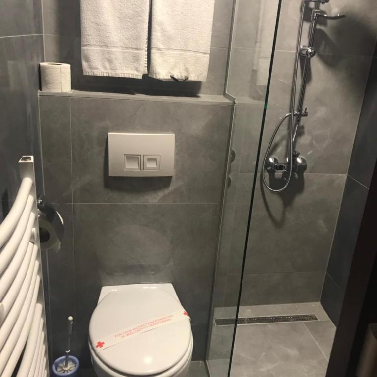 Hotel Grand - Deluks Dvokrevetna Soba sa Bračnim Krevetom/Zasebnim Krevetima i Pogledom na Grad - 2