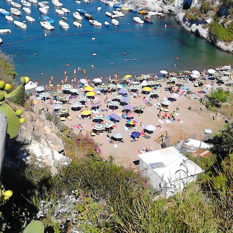 La Vite - Casa Vacanze - 33