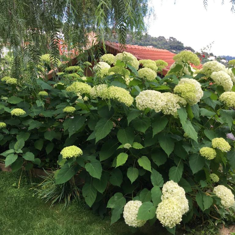 Skylark Bed & Breakfast - Doppelzimmer - 19