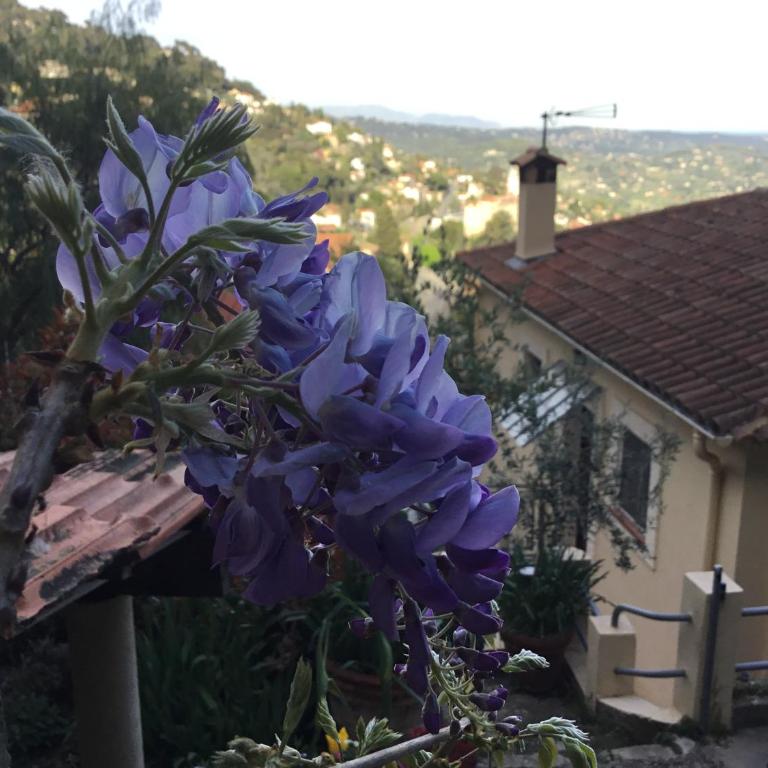 Skylark Bed & Breakfast - Cottage mit Panoramablick - 12