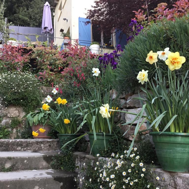 Skylark Bed & Breakfast - Doppelzimmer - 32