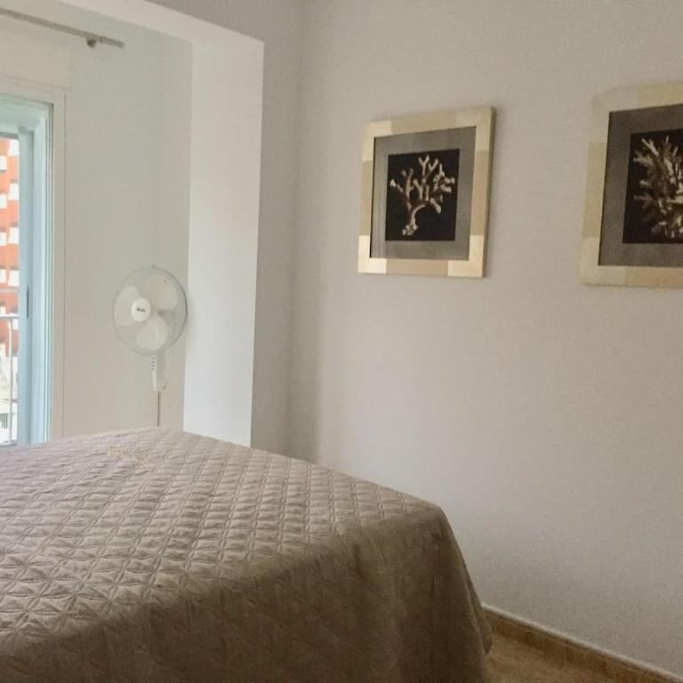 Apartamento en playa Gandia con piscina y parking - Apartamento de 2 dormitorios - 16