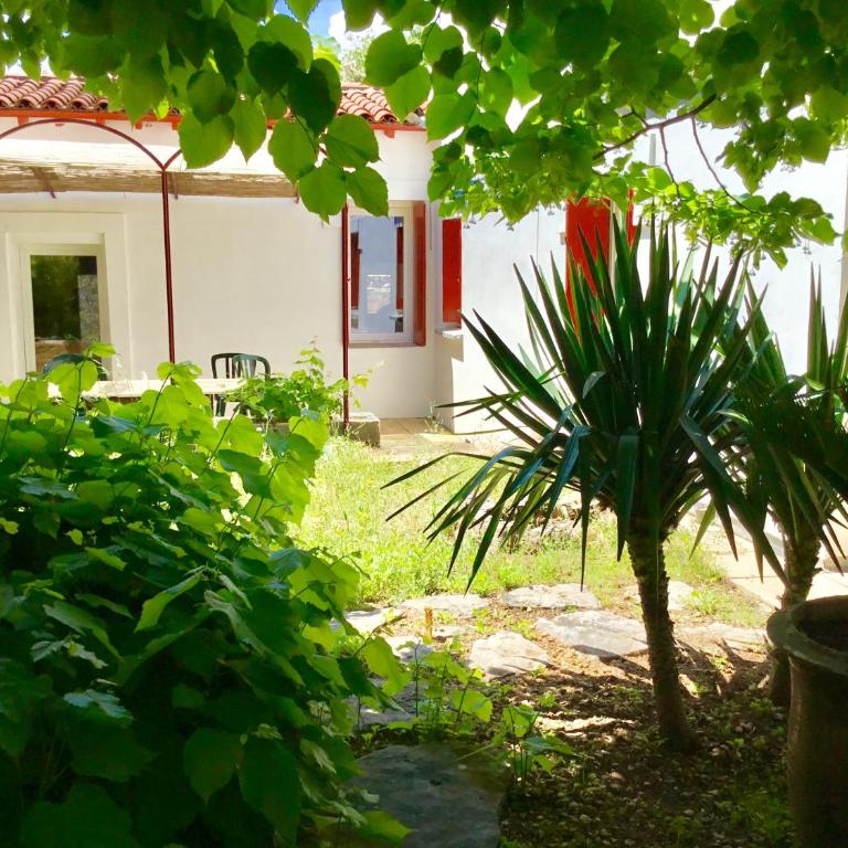 Villa de Charme sur la Corniche - Villa - Côté Plage - 7
