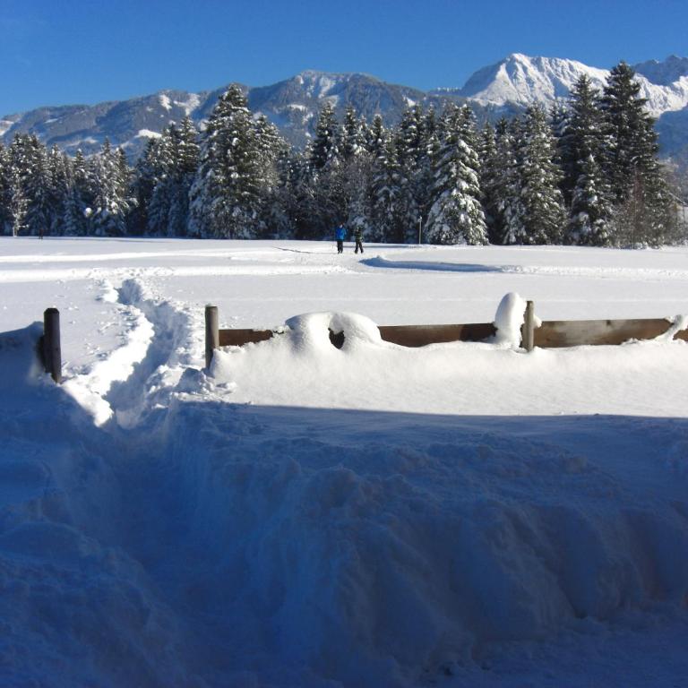 Ferienwohnung Bolsterlang - Apartment mit Blick auf die Berge - 17