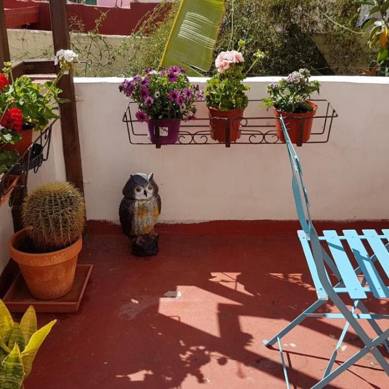 Apartamento Ruzafa Centro II - Apartment - 39