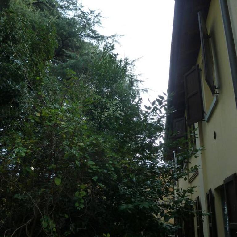 LA STANZA SUI CEDRI - Smart working - Airport - Private Parking - Ducati - Philip Morris - Appartamento con Vista Giardino - 24