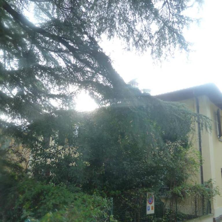 LA STANZA SUI CEDRI - Smart working - Airport - Private Parking - Ducati - Philip Morris - Appartamento con Vista Giardino - 28