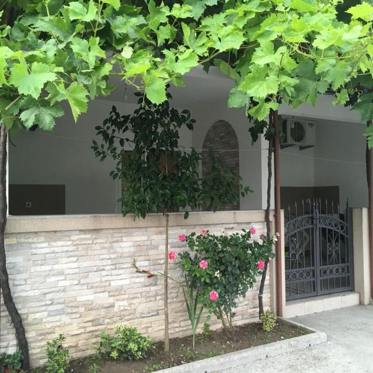 Apartmani Vuković - Trokrevetna Soba sa Terasom - 1