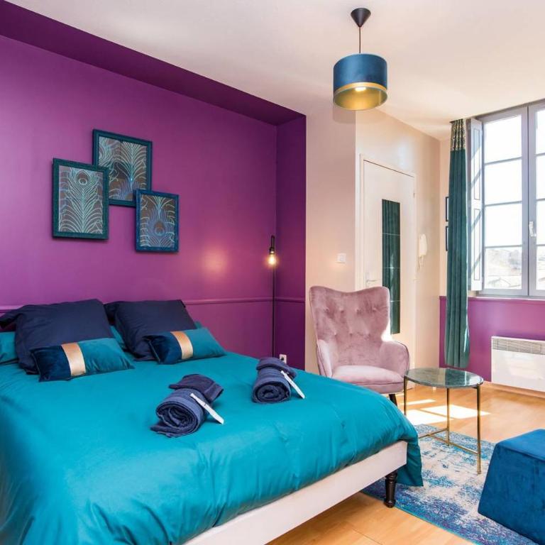 Le Paon - Netflix - Plein centre - Appartamento con 1 Camera da Letto - 1