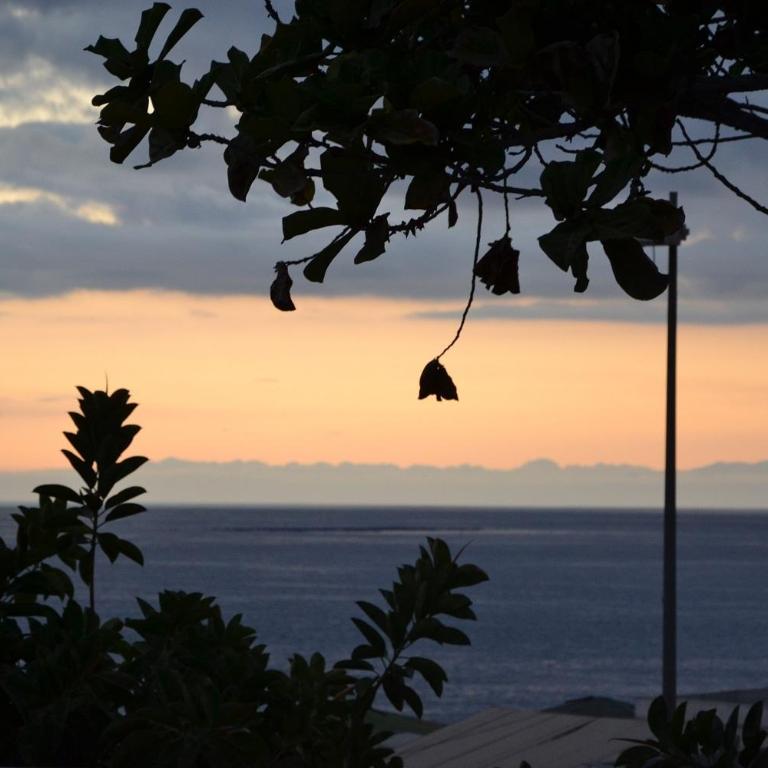 Luxury Villa Playa De Las Americas First Line - Villa Deluxe - 27