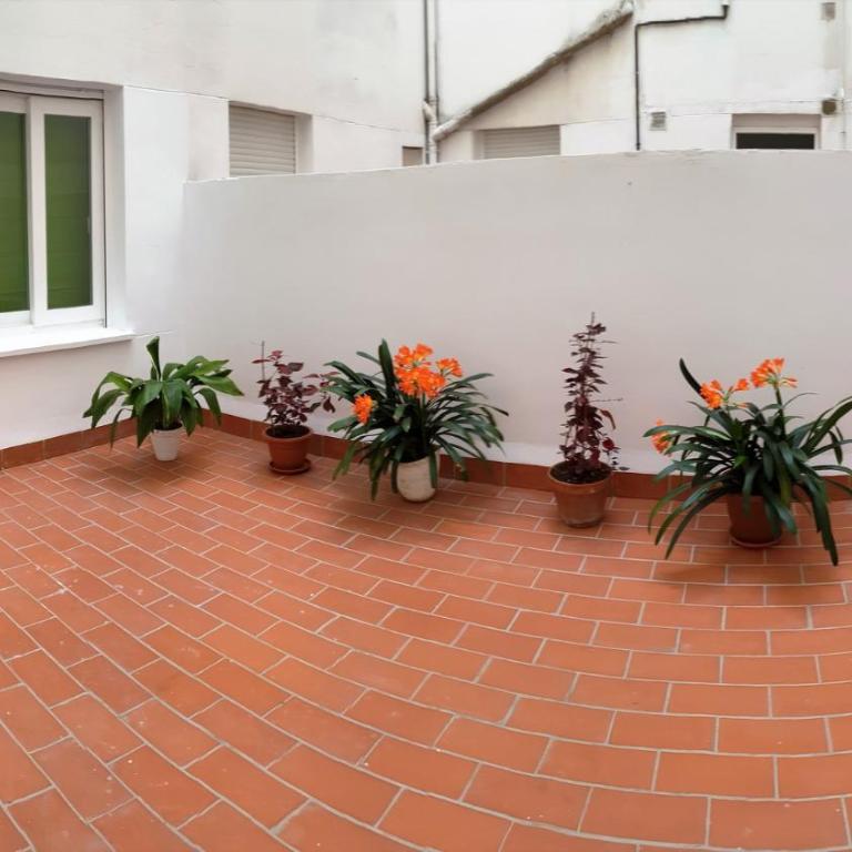 DS Apartamento Plaza Colón - Apartamento de 3 dormitorios - 14