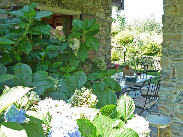 Villa Erica con piscina privata sul lago di Como - Casa Vacanze - 8