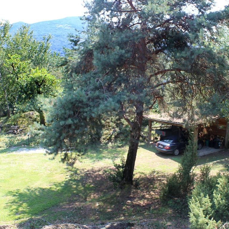 Villa Erica con piscina privata sul lago di Como - Casa Vacanze - 10