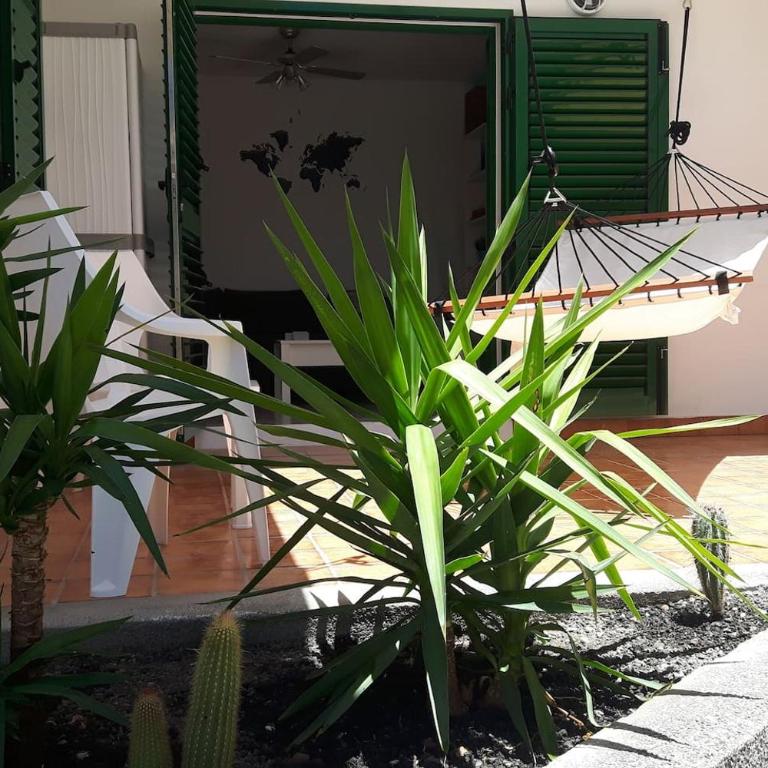 New central town Bungalow WiFi Netflix - One-Bedroom Apartment - 21