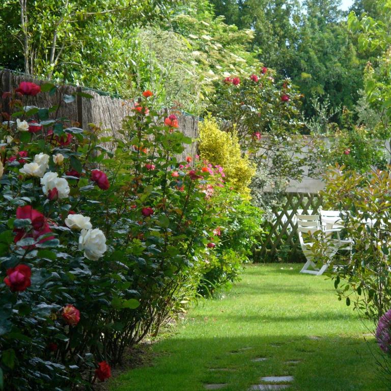 Gite de la Tréherais - Studio (2 Adultes) - 11