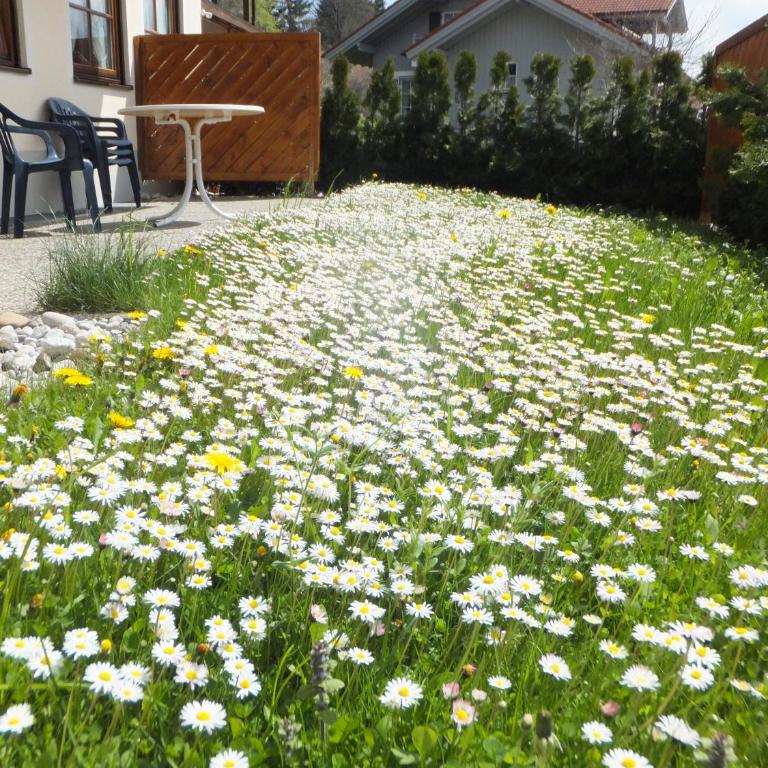 Landhaus Sonnenbichl - Apartment mit 1 Schlafzimmer - 4