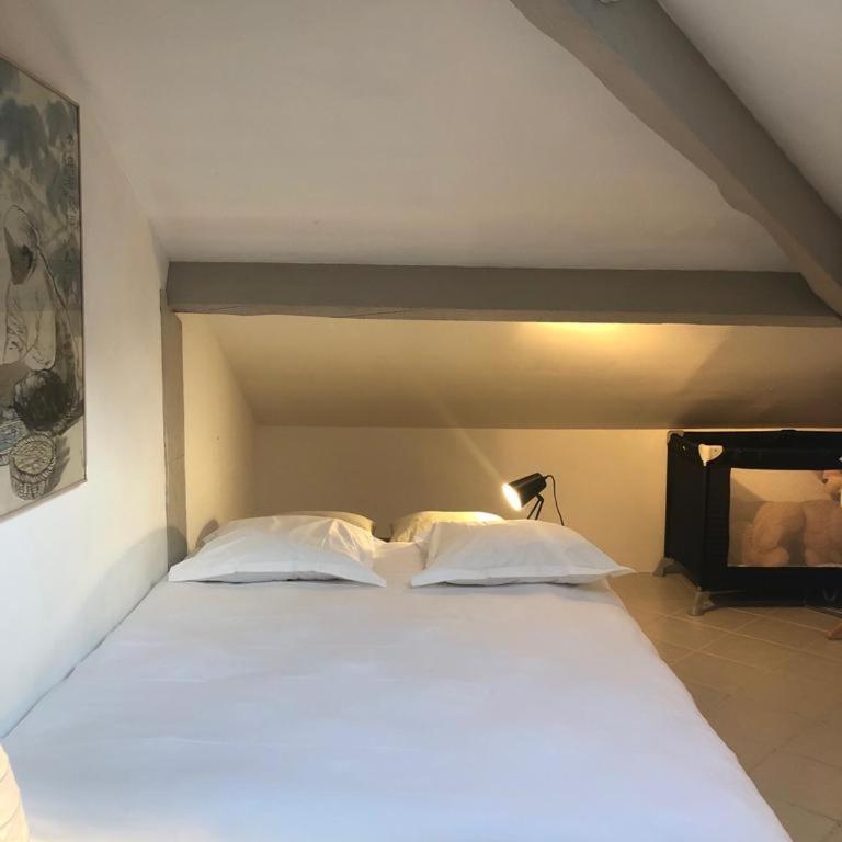 Les Citronniers - Loft - 12