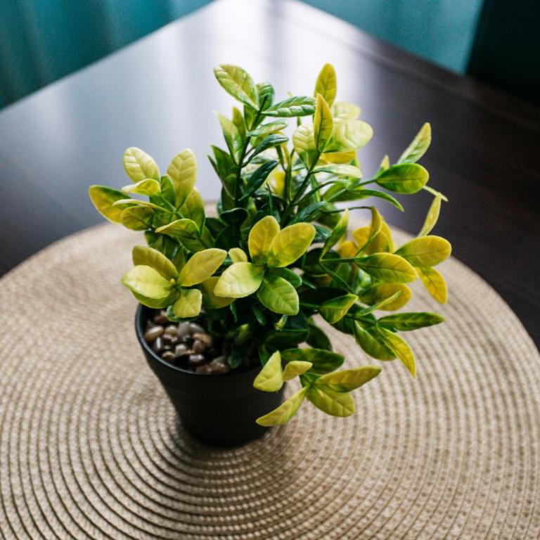 Apartments LORA 13.Jula, 15 - Apartman sa 1 Spavaćom Sobom - 41