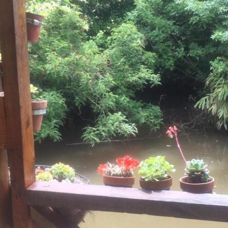 Cabaña en el Delta Arroyo Pajarito a 20 minutos de navegación - Habitación Doble - 2