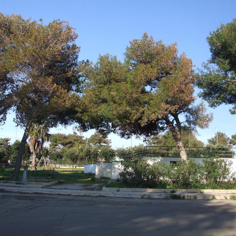 Villetta Le Soleil - Il mare sotto casa, Gallipoli a due passi - Appartamento Deluxe - 4