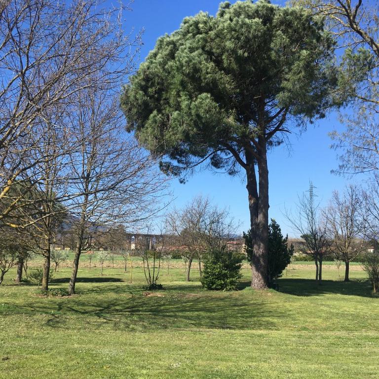 La casina di Verciano - Casa Vacanze - 18
